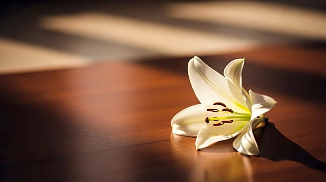 Influencer Melissa Mae Carlton Faces Tragedy as Daughter Dies After Sister