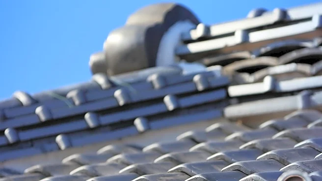 Homeowners Advised to Use Roof Rakes to Prevent Ice Dams and Water Damage