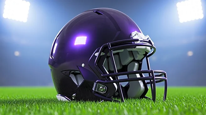 Ravens' Zay Flowers Returns to Game After Injury Scare Against Packers