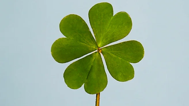 Exploring New Year's Eve Superstitions for Good Luck in the Coming Year