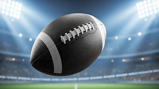 Azeez Al-Shaair's Interception Secures Texans' Victory Over Chargers