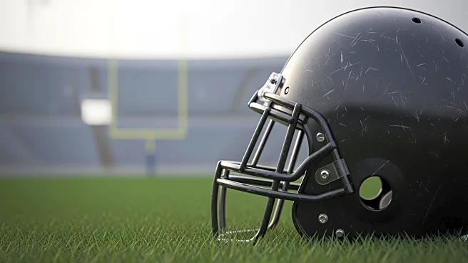 Chicago Bears' Luther Burden Faces Uncertain Future After Injury Against 49ers