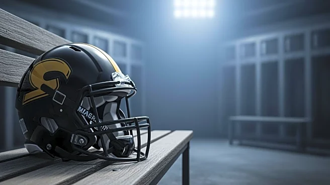 NFL Week 17: Steelers' Playoff Chances in Jeopardy After Browns Upset