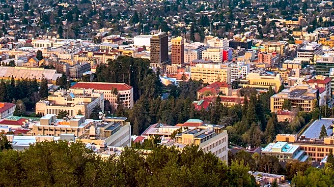 Bay Area Residents Share Uplifting News Amid Holiday Season