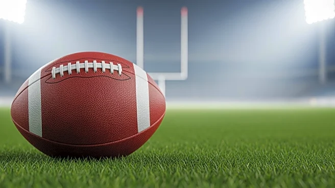 Cardinals' Emari Demercado: Limited Performance in Week 17 Loss to Bengals