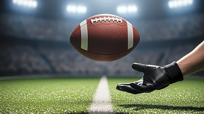 Controversial Non-Catch by Puka Nacua Sparks Debate Among NFL Fans