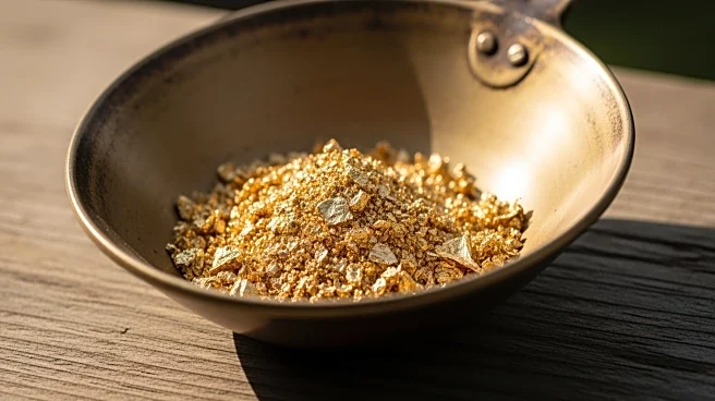 TomaGold Plans Private Placement to Fund Exploration in Quebec