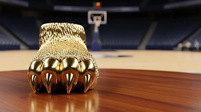 Cal Golden Bears on the Cusp of NCAA Tournament Qualification