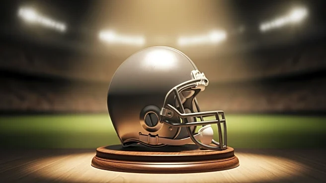 Pro Football Hall of Fame Finalists Announced; Patriots Legend Rodney Harrison Excluded