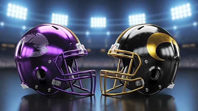 NFL Playoff Picture: Ravens and Steelers Clash for AFC North Title