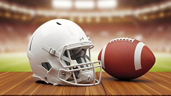 Georgia Bulldogs' Colbie Young Set to Return for Sugar Bowl Against Ole Miss