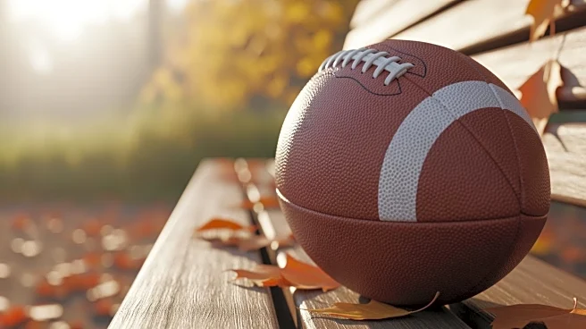 Chicago Bears Aim for Sustained Success Despite Recent Loss