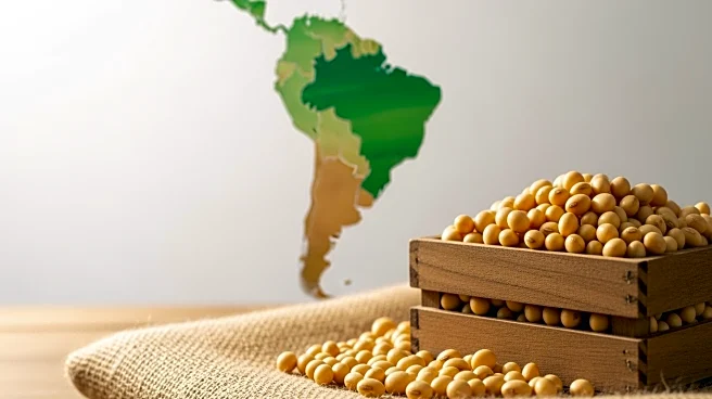 China's Shift to Latin American Agriculture Reduces U.S. Soybean Exports