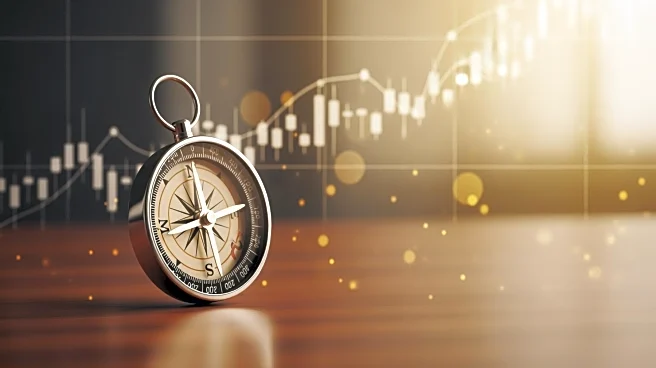 Avner Stepak's Leadership at Meitav Investment House Drives Remarkable Growth Amid Market Challenges