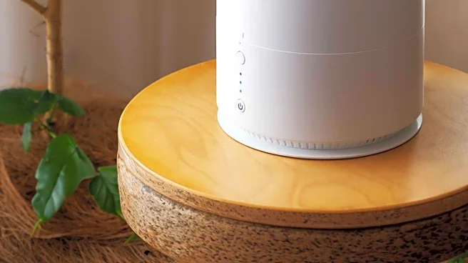 Humidifiers Recommended for Improved Skin Hydration and Air Quality