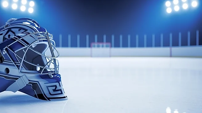 Karel Vejmelka Returns to Start for Mammoth Against Islanders