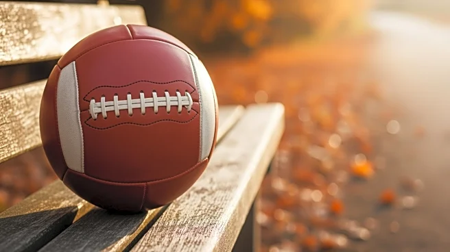 Chicago Bears Rookie Luther Burden III Emerges as Dynamic Playmaker