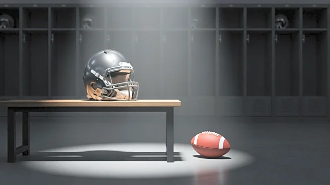 Michigan's Marlin Klein Declares for 2026 NFL Draft, Impacting Team's Tight End Depth