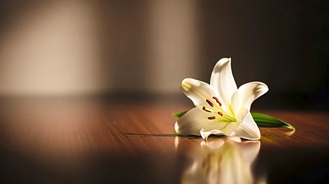 Victoria Jones, Daughter of Tommy Lee Jones, Found Dead at 34