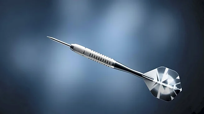 Luke Littler Aims for Historic Victory in World Darts Championship Final