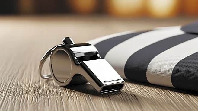 NFL Referee Clarifies Controversial Call in Panthers' Narrow Loss to Buccaneers