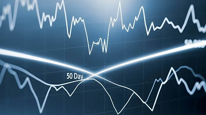 Northern Dynasty Minerals' Share Price Falls Below 50-Day Moving Average