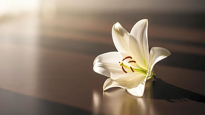 Kayla Vesia Shares Emotional Message Following Family Tragedy