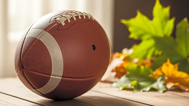 Green Bay Packers Set to Face Chicago Bears in NFL Playoffs