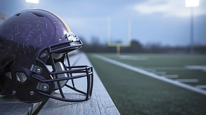 Minnesota Vikings Defeat Green Bay Packers in Season Finale Amidst Injuries