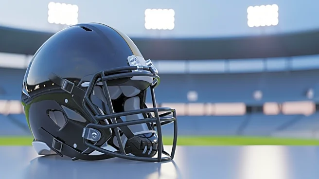 Steelers Capitalize on Kyle Hamilton's Absence to Secure AFC North Title