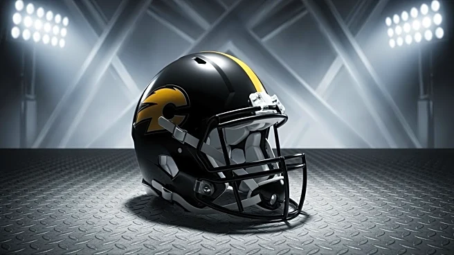 Pittsburgh Steelers Secure AFC North Title with Victory Over Baltimore Ravens