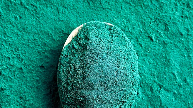 Chlorella Vulgaris: A Promising Superfood with Environmental Benefits