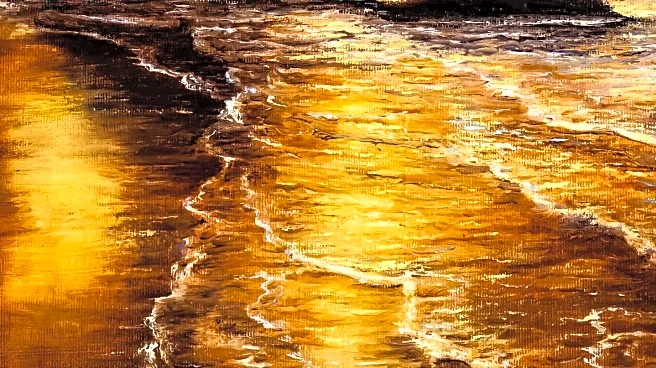 Artists' Collaborative Gallery in Northern California Showcases Local Talent