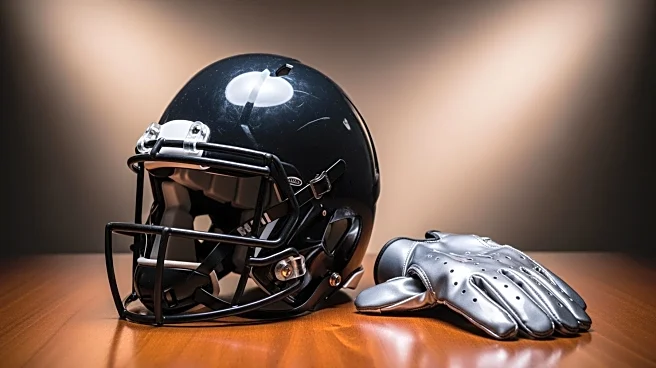 USC Secures Transfer of Wide Receiver Terrell Anderson from NC State