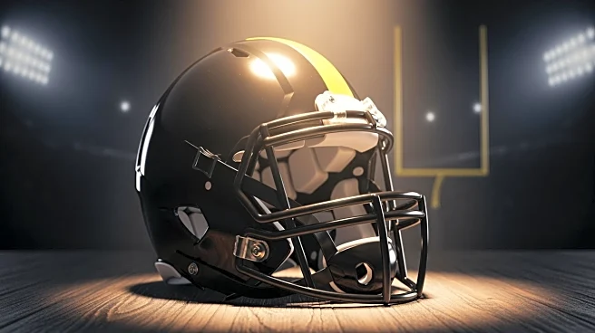 Steelers Clinch AFC North Title with Victory Over Ravens