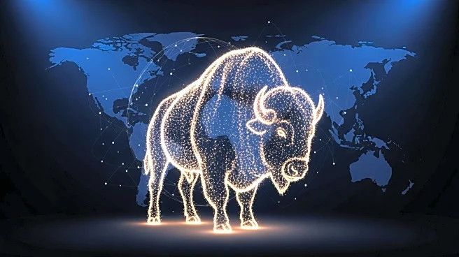 Colorado Buffaloes Aim for Global Brand Status Under New Athletic Director