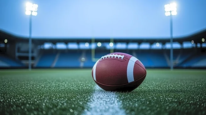 Ravens Kicker Tyler Loop and Fiancée Face Online Harassment After Missed Field Goal