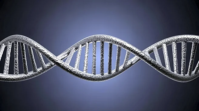 Alloy Therapeutics Appoints Christian Cobaugh as CEO to Lead Genetic Medicines Division