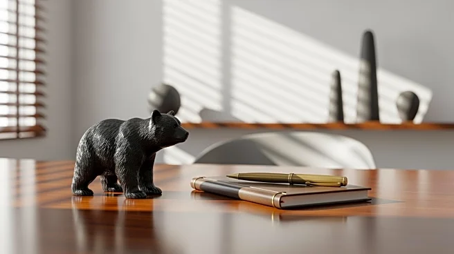 Black Bear Appoints Frank Patterson as General Sales Manager to Boost U.S. Distribution