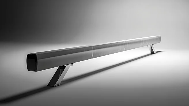 Visit Films Acquires 'The Gymnast' for Worldwide Sales Ahead of Rotterdam Premiere