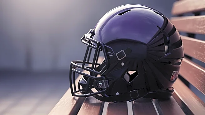 Ravens' Mark Andrews Ends Season with Two Catches Amid Disappointing Year