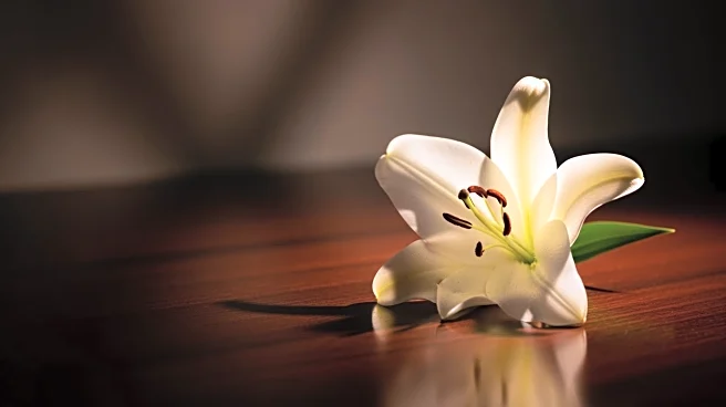 Sean Swayze, Brother of Patrick Swayze, Dies at 63 Due to Health Complications