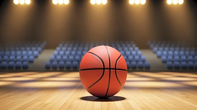 Towson Tigers Face Hofstra Pride in CAA Women's Basketball Matchup