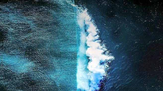 Wave Browser Partners with 4ocean to Fund Ocean Cleanup Efforts