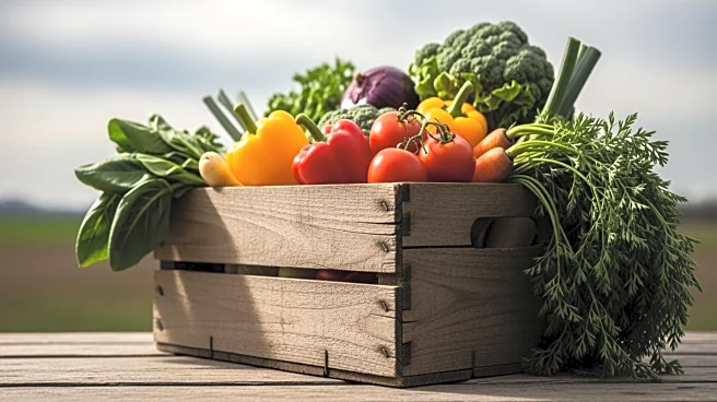 Farmer Sentiment Declines Amid Trade Uncertainty and Export Concerns