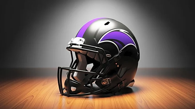 Baltimore Ravens Dismiss Head Coach John Harbaugh, Future of Team in Question