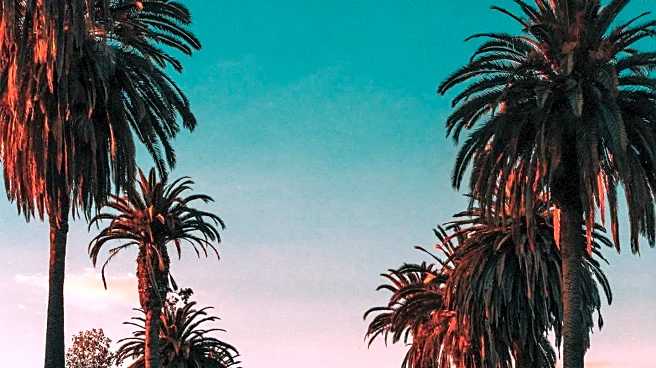 Los Angeles Hosts Diverse Weekend Events Including Art Show and Family Festival