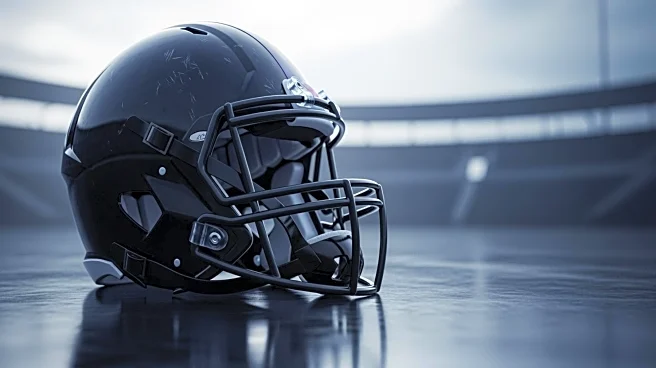 Baltimore Ravens Dismiss Head Coach John Harbaugh, Future of Team in Question