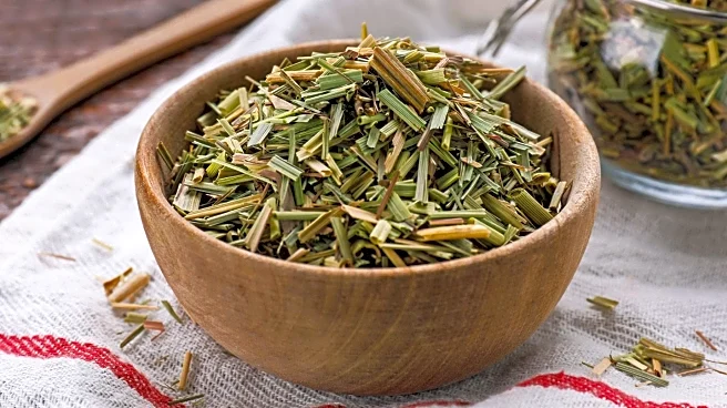 Rejuvacare Ozempatch Ingredients Scrutinized Amid Consumer Interest in Herbal Weight Loss Solutions