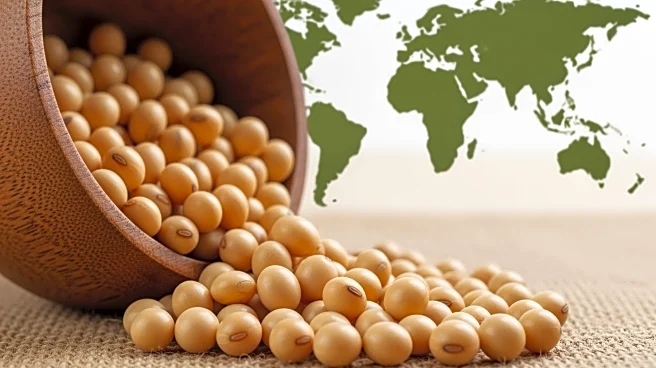 USDA Expected to Lower U.S. Soybean Export Forecast Amid China Tensions and Brazilian Competition